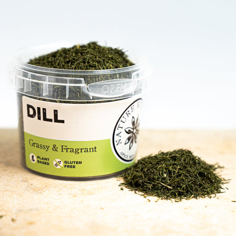 Dill herb in a pot