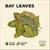 Aromatic Bay leaves for adding flavour 