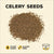 celery seeds