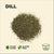 Dill Herb 1 x 16g Pot