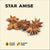 China Star Anise 6 x 24g Pot